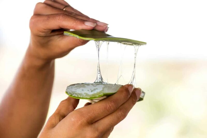 Tenerife: La Laguna, Aloe Vera Farm, and Lunch Tour - Practical Details and Logistics