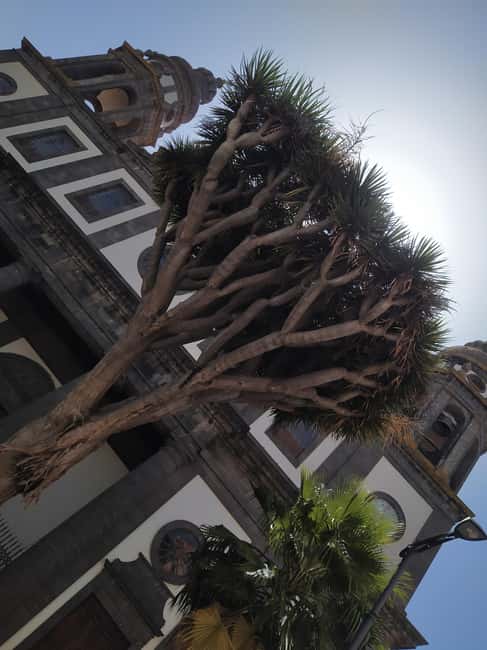 Tenerife: La Laguna Hidden History Walking Tour - The Significance of Casa de los Capitanes Generales in Piracy Times