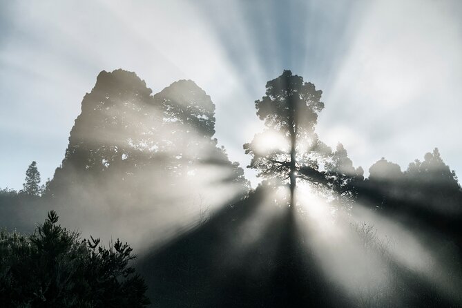 Tenerife Landscape Photography Workshops 10 hours - The Guides Approach and Teaching Style