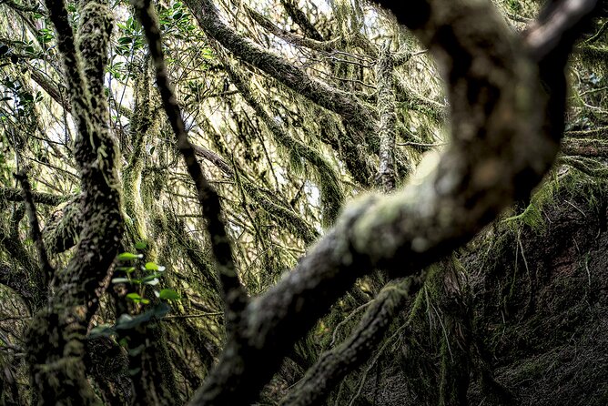 Tenerife Landscape Photography Workshops 10 hours - Pricing and Value