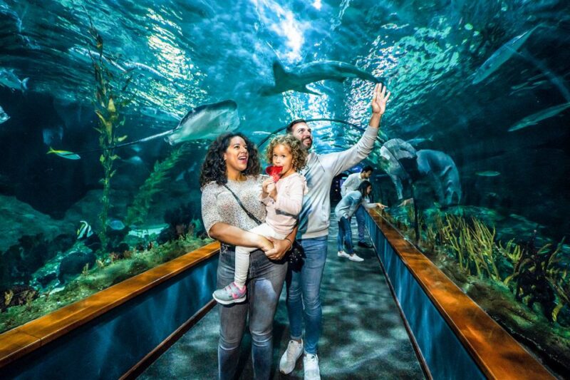 Tenerife: Loro Parque Entry Ticket - Dining Options and Convenience