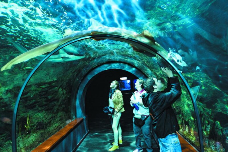 Tenerife: Loro Parque & Siam Park Entry Ticket with Transfer - Ease of Booking and Access Control