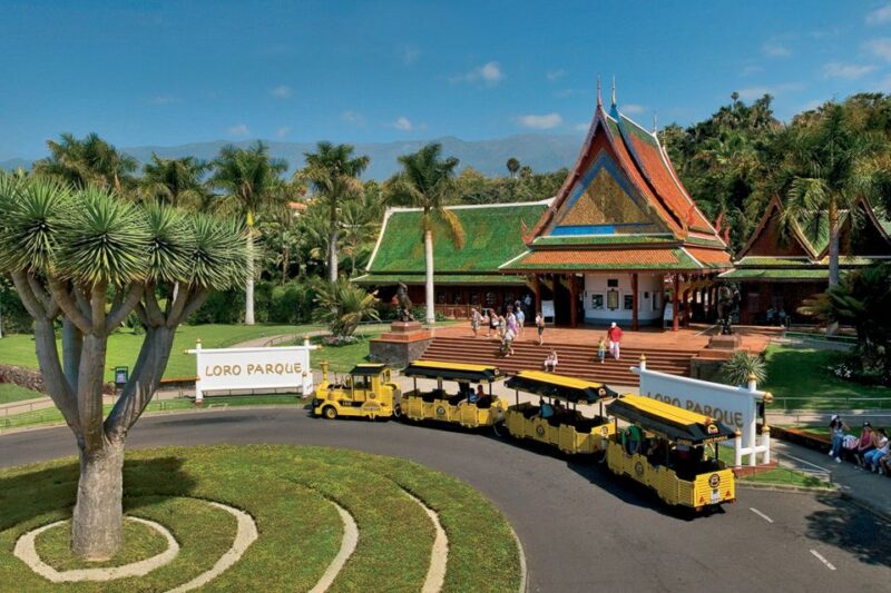 Tenerife: Loro Parque & Siam Park Entry Ticket with Transfer - Who Would Enjoy This Tour Most