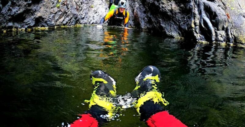 Tenerife: Los Carrizales Water Canyoning Tour - Swimming in Natural Pools