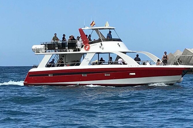 Tenerife Los Cristianos: Whale and Dolphin Eco-Yacht and Swim Stop - Weather and Sea Conditions: How They Impact the Trip