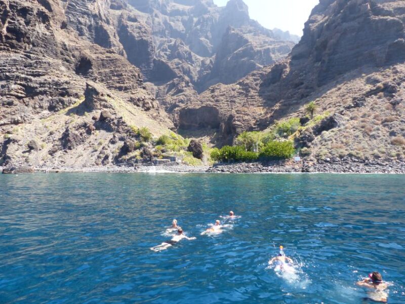Tenerife: Los Gigantes Whale Watching Cruise by Sail Boat - Swimming and Snorkeling in scenic coves