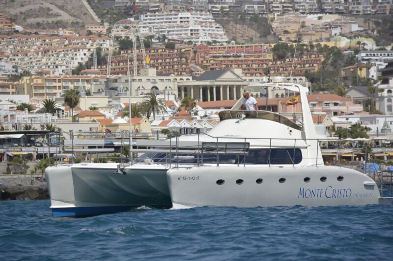 Tenerife: Marine-Life Tour with Transfer, Buffet and Drinks - Departure from Puerto Colon and Meeting Details