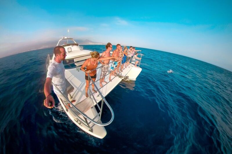 Tenerife: Marine-Life Tour with Transfer, Buffet and Drinks - Scenery and Marine Wildlife Encounters
