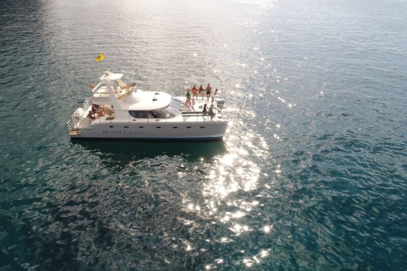 Tenerife: Marine-Life Tour with Transfer, Buffet and Drinks - Scenic Views of Tenerife’s Coastline
