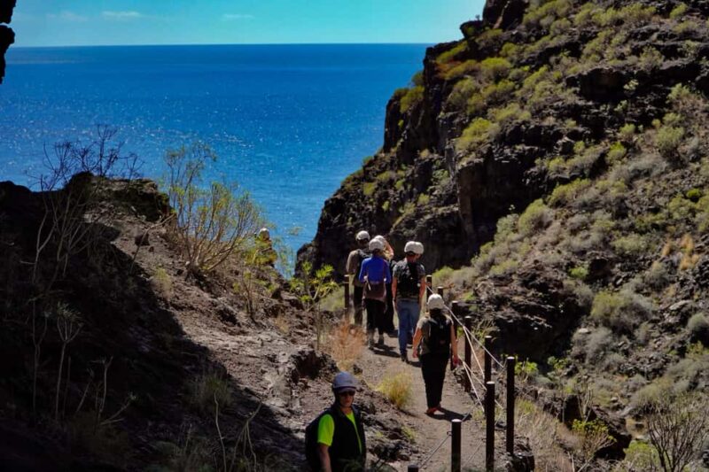 Tenerife: Masca Canyon Descent with Audio Guide and Boat Transfer - The Boat Transfer and Views of Los Gigantes Cliffs