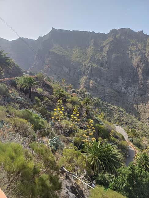 Tenerife: Masca, Los Gigantes & Natural Pools + Picnic - Who Will Enjoy This Tour Most?