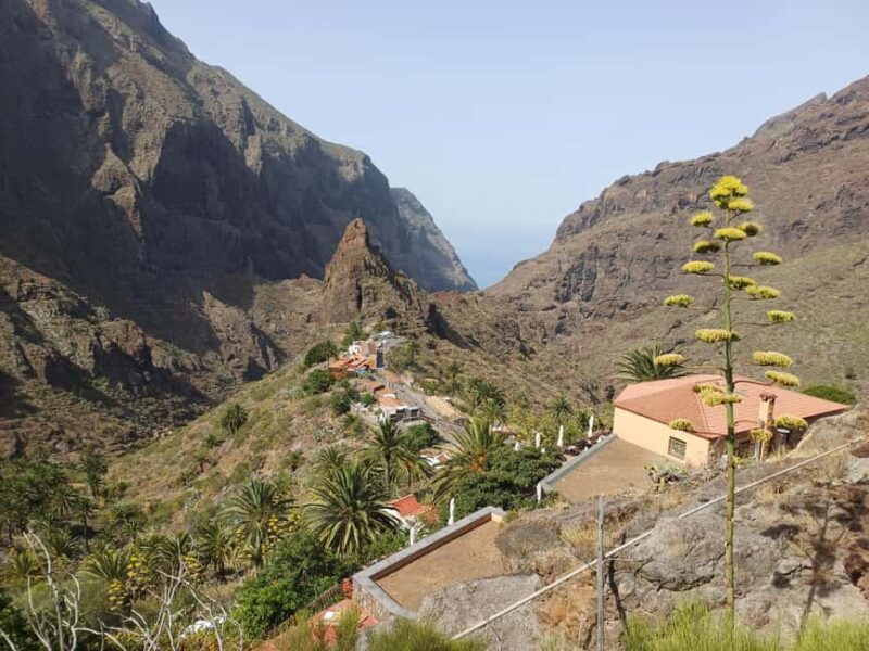 Tenerife: Masca, Los Gigantes & Natural Pools + Picnic - Limitations and Considerations