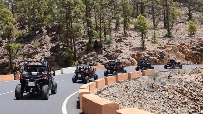 Tenerife: MORNING - 3H Buggy tour of Teide - Timing and Pacing of the Tour