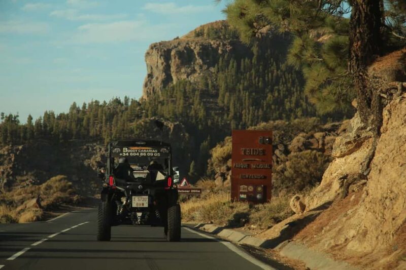 Tenerife: MORNING - 3H Buggy tour of Teide - Accessibility and Physical Requirements
