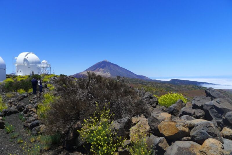 Tenerife: Mount Teide Observatory Astronomical Tour - Mount Teide: A Prime Location for Astronomy and Scenic Views
