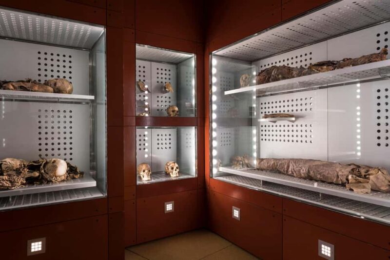 Tenerife: MUNA Museum Admission Ticket and Teide Legend Tour - Discover Tenerife’s Cultural and Volcanic Heritage with the MUNA Museum and Teide Legend Tour