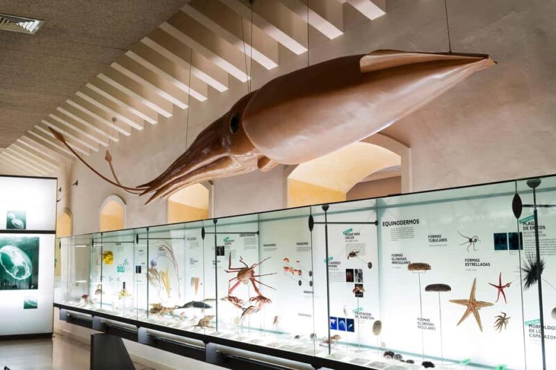 Tenerife: MUNA Museum Admission Ticket and Teide Legend Tour - Exploring Teide National Park with the Teide Legend Tour