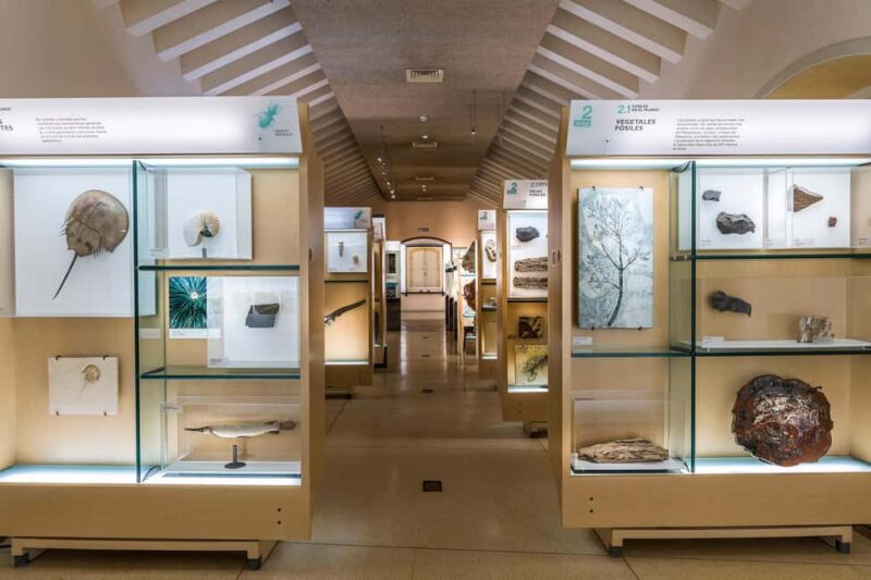 Tenerife: MUNA Museum Admission Ticket and Teide Legend Tour - Practical Details for Visiting Teide National Park