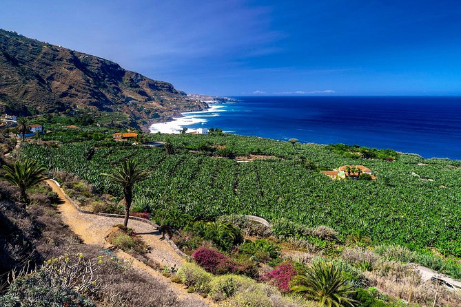 Tenerife North Private Tour: Through Villages and Ports - Explore Tenerife North in a Private 8-Hour Journey