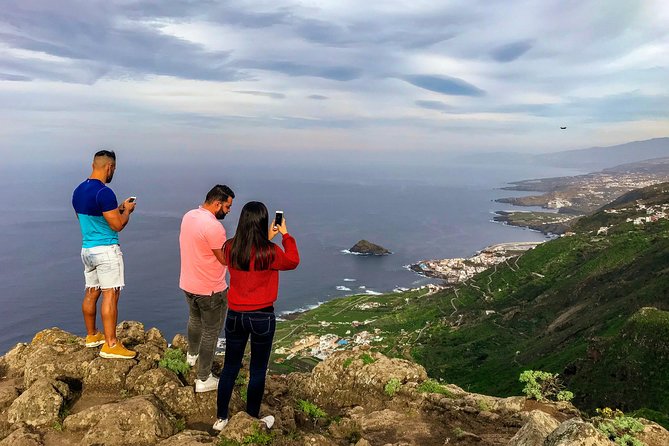 Tenerife North Private Tour: Through Villages and Ports - Walking Through La Orotava’s Cobblestone Streets