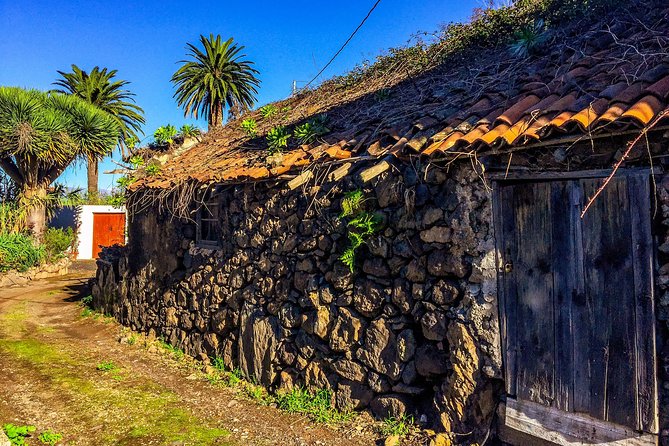Tenerife North Private Tour: Through Villages and Ports - Visiting Icod de los Vinos and Its Legendary Dragon Tree