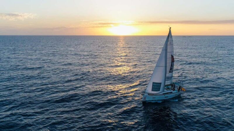 Tenerife: Ocean Pack Jet Ski and Yacht Whale Watching - What You Can See During the Marine Expedition