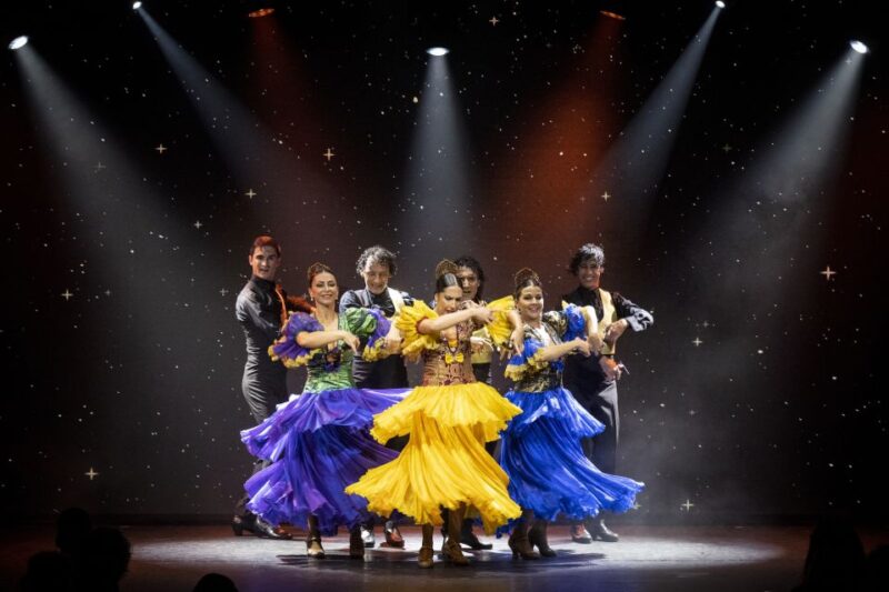 Tenerife : Olé Flamenco Show by Fran Chafino Ticket - The Limitations and Considerations