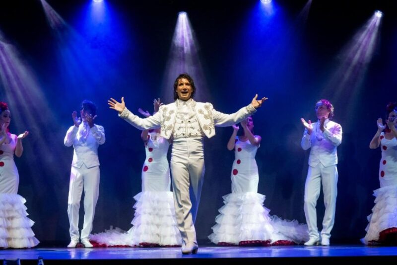 Tenerife : Olé Flamenco Show by Fran Chafino Ticket - Overall Impression and Who Will Enjoy It