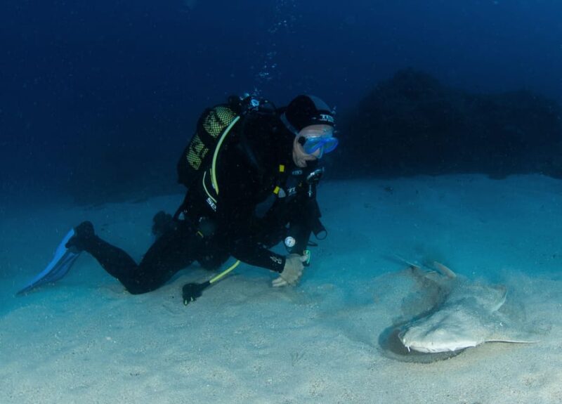 Tenerife: PADI Open Water Diver Course - Who Should Consider This Course?