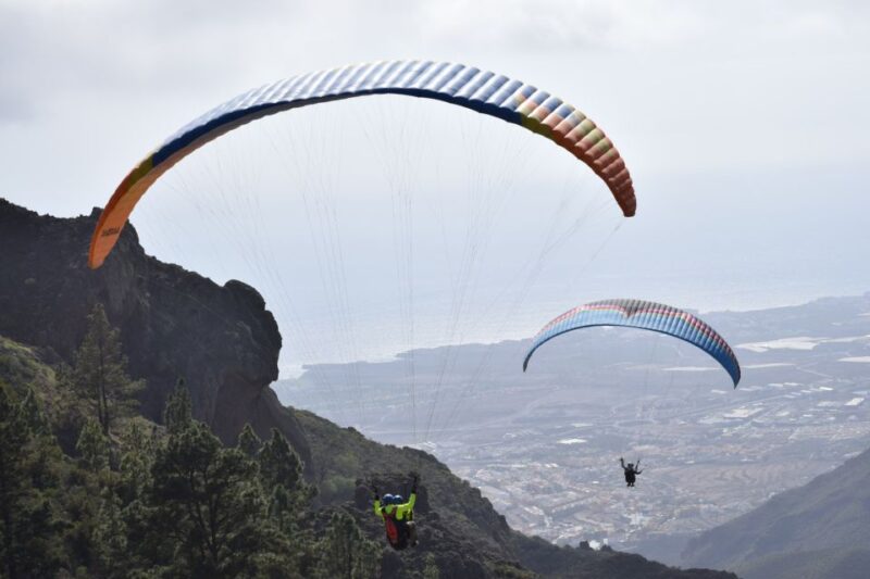 Tenerife: Paragliding Flight - Safety Briefing and Preparation