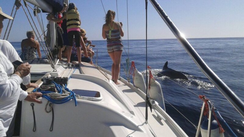 Tenerife: Private or Group 3 Hour Sailing Cruise with Drinks - Flexibility with Booking and Cancellation Policies