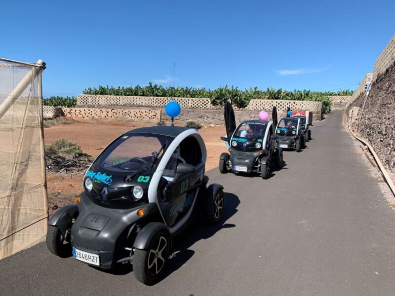 Tenerife: Private Renault Twizy Tour - Tenerife’s Electric Mini Car Adventure for $136