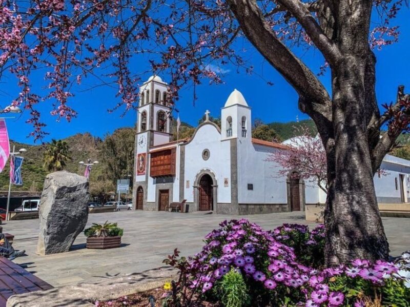 Tenerife: Private Renault Twizy Tour - Practical Tips for Participants