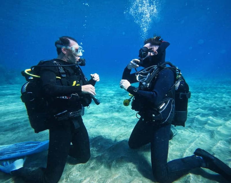 Tenerife: Private Scuba DivingCertified Instructor & Photos - Key Points