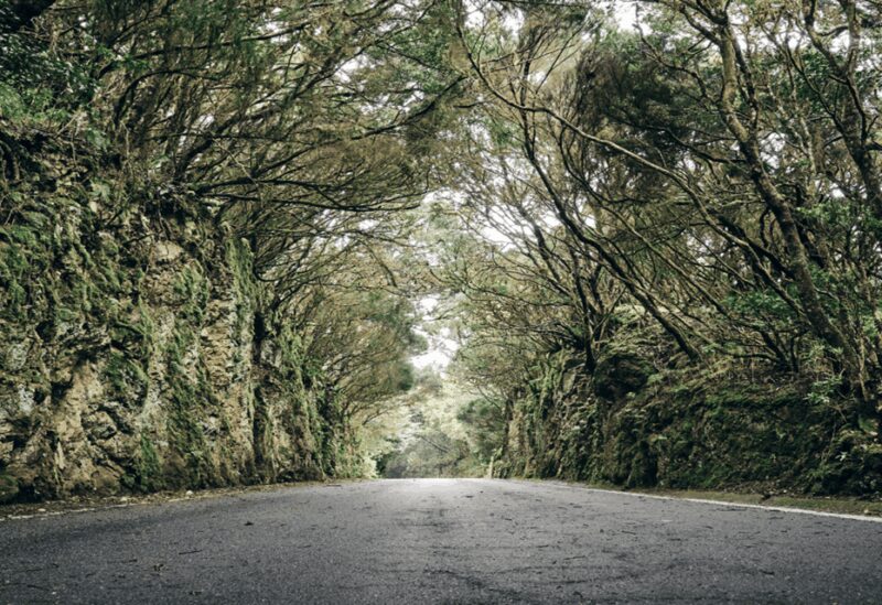 Tenerife: Private Taganana and Anaga Day Trip with Pickup - Exploring Taganana and the Biosphere Reserves