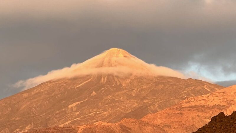 Tenerife: Private VIP Tour Teide National Park - Entering the Corona Forestal and Viewing the Pino Gordo
