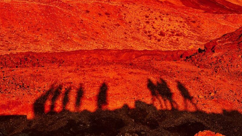 Tenerife: Private VIP Tour Teide National Park - Logistics and Comfort