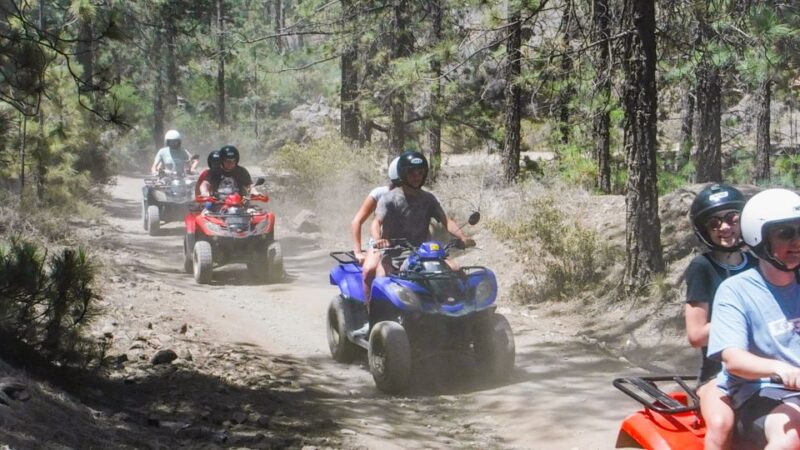 Tenerife: Quad Adventure Tour in Teide National Park - Who Will Love This Tour?