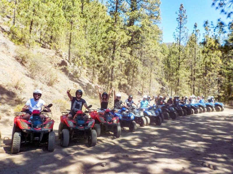 Tenerife: Quad Adventure Tour in Teide National Park - Tenerife Quad Adventure Tour in Teide National Park