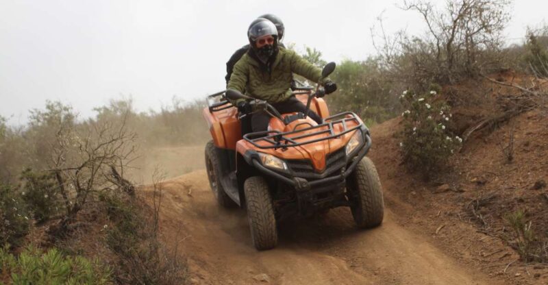Tenerife: Quad Bike Off-Road Adventure - Discover Tenerifes Remote Landscapes with a 2-Hour Quad Bike Off-Road Tour