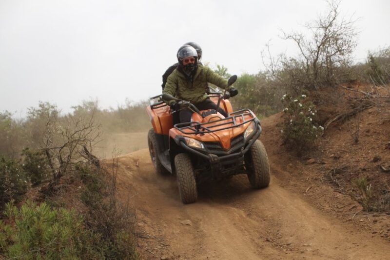 Tenerife: Quad Bike Off-Road Adventure - Additional Booking Options and Flexibility