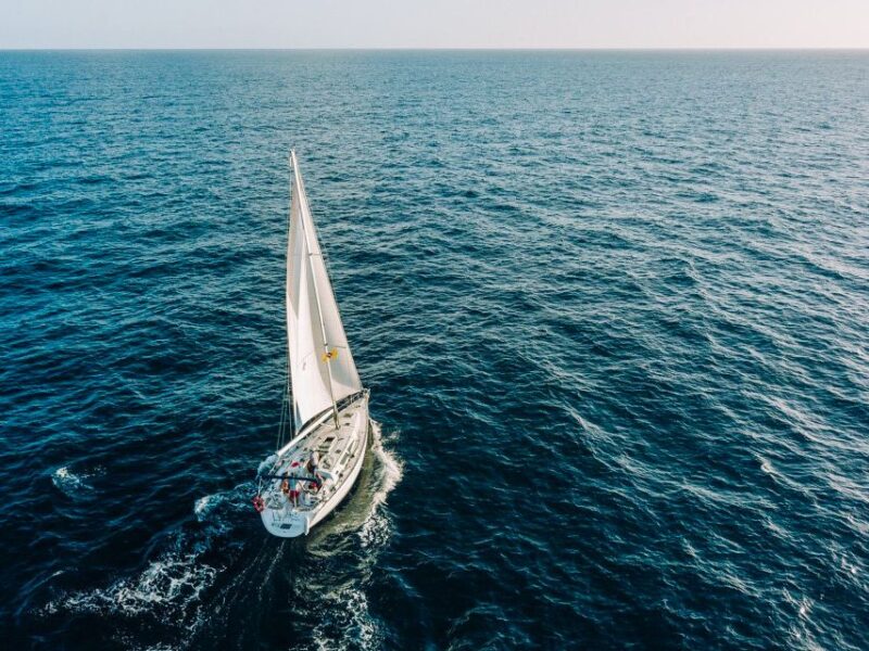 Tenerife: Sailboat Tour Whale Watching Food and Snorkeling - Key Points