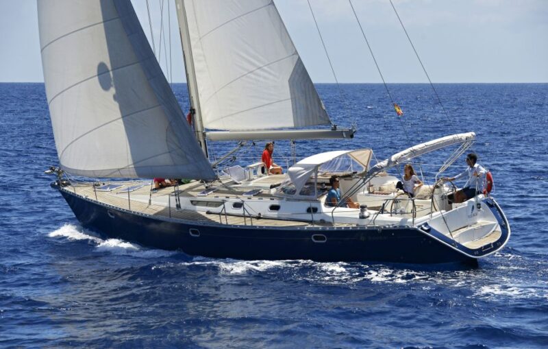 Tenerife: Sailing Excursion with Whale and Dolphin Watching - The Yacht and Its Spacious Design
