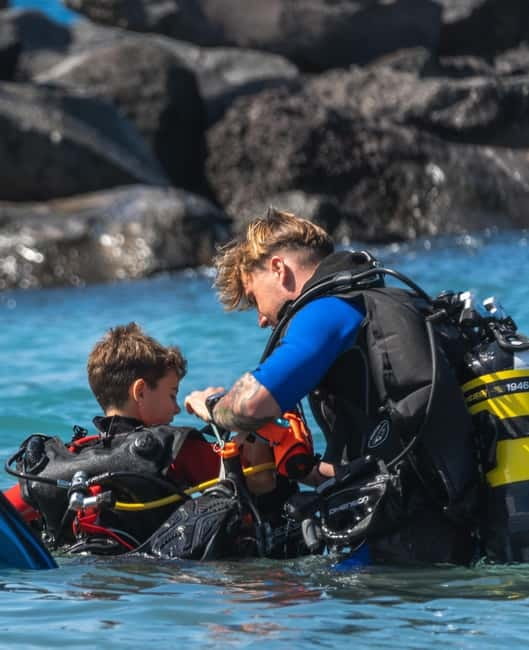 Tenerife: Scuba Dive & Fun, Discover the Magic of the Ocean - Key Points