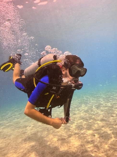 Tenerife: Scuba Dive & Fun, Discover the Magic of the Ocean - Exploring the Underwater World of Playa Las Vistas