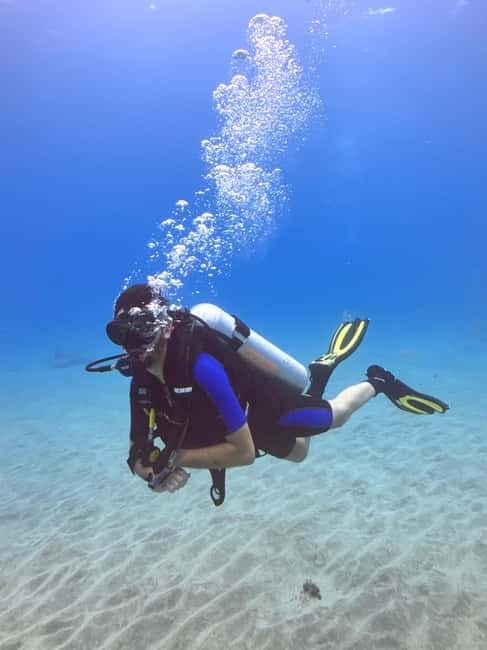 Tenerife: Scuba Dive & Fun, Discover the Magic of the Ocean - Logistics and Group Experience