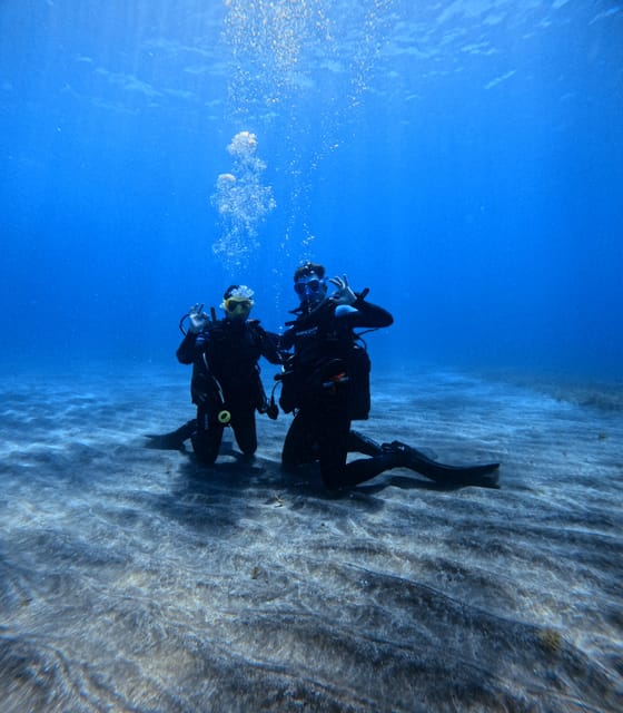 Tenerife: Scuba Diving Experience for Every Level - Who Should Consider This Dive Experience?