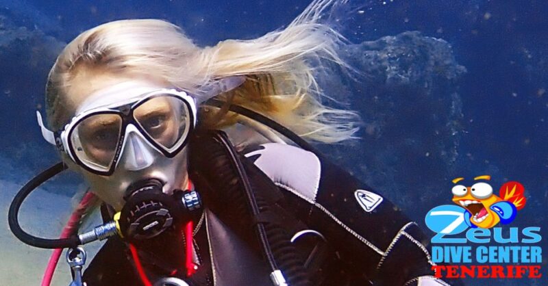 Tenerife Scuba Diving for Certified Divers - Timing, Pacing, and Dive Schedule
