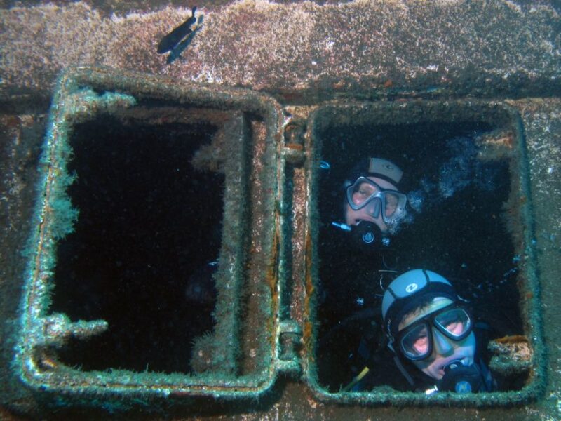 Tenerife Scuba Diving for Certified Divers - The Marine Life and Underwater Highlights