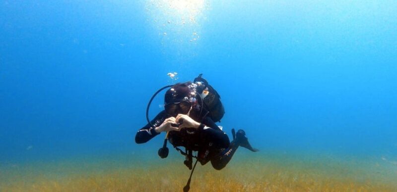 Tenerife: Scuba Diving Lesson and Abades Protected Area Dive - The Role of Your Instructor: Personalized and Patient Guidance